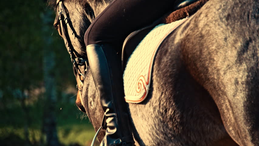 Closeup legs of jockey sitting on horse. Young woman riding brown horse at show competition on sandy parkour arena. Competitive rider galloping at training arena outdoor. Equestrian sport, slow motion