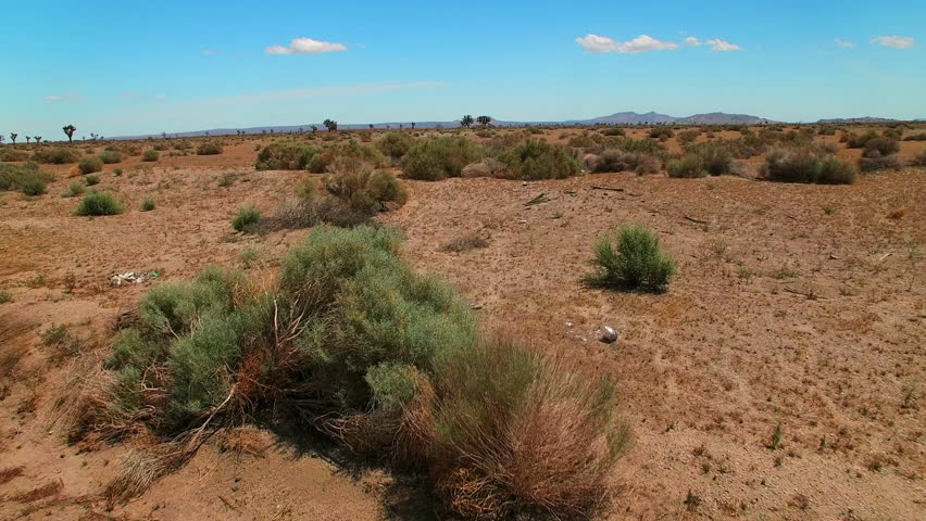 Aerial: Drone Flying Forward Over Plants And Trees Near Mountains In Desert Against Blue Sky - Landers, California