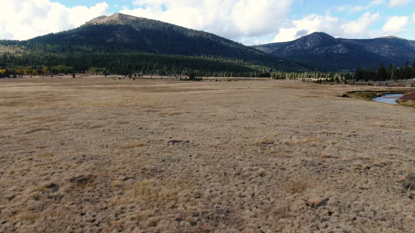 Drone shot into the horizon of a mounteneering landscape, sorrounded by pines forest, and a river across the pines at Lake Tahoe in Sierra Nevada, California