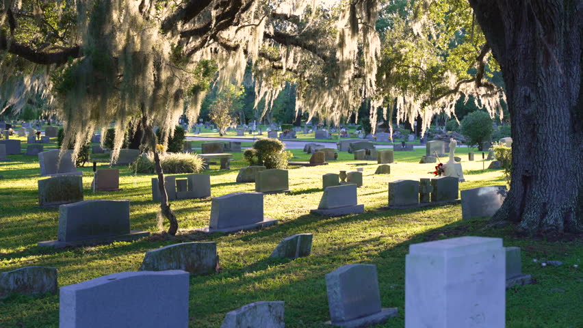 Old cemetery with grave stones under oak trees on green grass lawn in Orlando, Florida. Concept of death Royalty-Free Stock Footage #1110678359