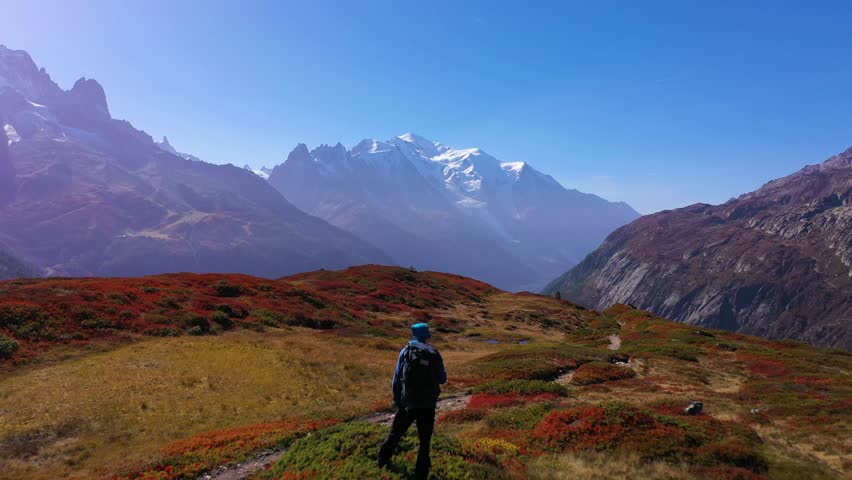 Hiker Man in Blue Jacket with Backpack Standing and Looking at Mont Blanc Mountain on Sunny Autumn Day. Red Bushes. French Alps, France. Aerial View. Drone Flies Backwards over the Man