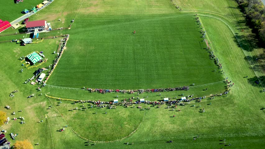 Fast cross country meet on a sunny day 