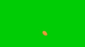 fresh summer vegetables food motion illustration on green screen  Chroma key ready Vegetables Falling on Green Screen with 4K video 