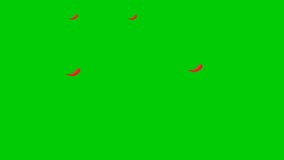 fresh summer vegetables food motion illustration on green screen  Chroma key ready Vegetables Falling on Green Screen with 4K video 