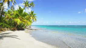 Wild tropical beach with palm trees. Amazing nature of the seashore. Summer holidays, adventure travel. Luxurious holiday landscape, stunning ocean lagoon, blue sky palm trees. Relaxing on the beach. - Powered by Shutterstock - Get 15% off with code: PIKWIZARD15