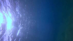 Vertical video, Sharp rays of sun penetrate surface of blue water and sun glare fall on sandy seabed in morning time, Underwater shot, Slow motion, Mediterranean Sea