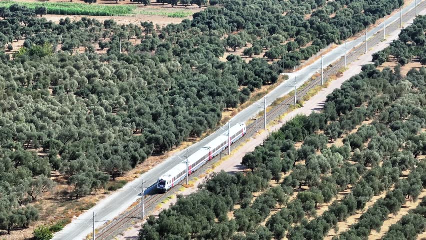 Aerial tracking of the train going through olive trees
