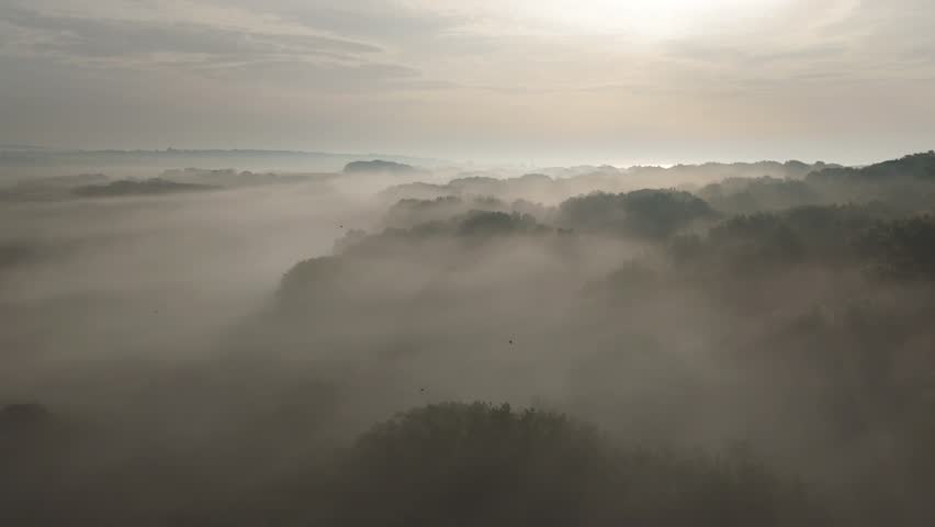 Aerial drone footage of the tree top canopy and valley on a misty morning over Combe Valley Countryside Park next to Bexhill on-sea, east sussex Royalty-Free Stock Footage #1110720391
