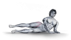 Side Leg Raise Lying R+L.-3D (149)-
Anatomy of fitness and bodybuilding with distinct active muscles-
150 frame Animation + 150 frame Alpha Matte
