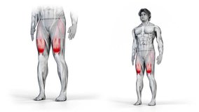 Hip Flexion L+R-3D (151)-
Anatomy of fitness and bodybuilding with distinct active muscles-
150 frame Animation + 150 frame Alpha Matte
