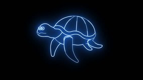 animated icons turtle with glowing neon effect.4k video quality