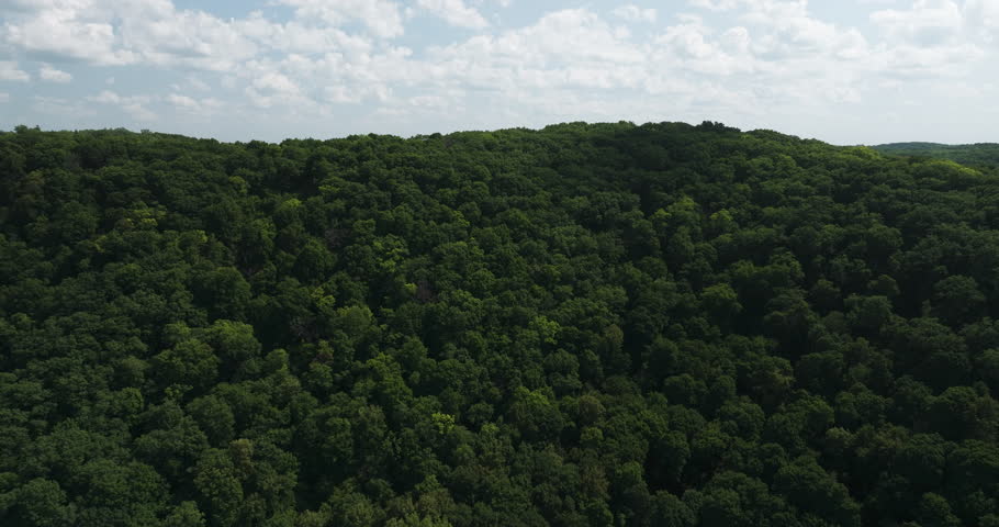 Aerial View Of Thick Verdant Forest Of Great River Bluffs State Park In Minnesota, USA.