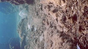 Vertical video, Tropical fishes swims over bottom covered with lot of plastic garbage. Bottles, bags and other plastic debris on seabed in Mediterranean Sea, Slow motion