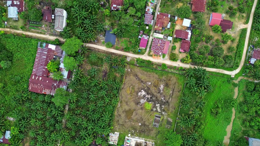 Aerial 4k video of the palm oil plantation in Pekanbaru, Riau, Indonesia. It is one of Indonesia's precious commodity. Royalty-Free Stock Footage #1110754999
