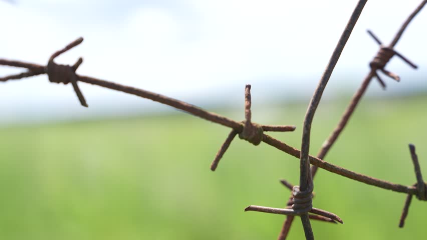 vue rapprochée du fil de fer barbelé sur une clôture en béton
