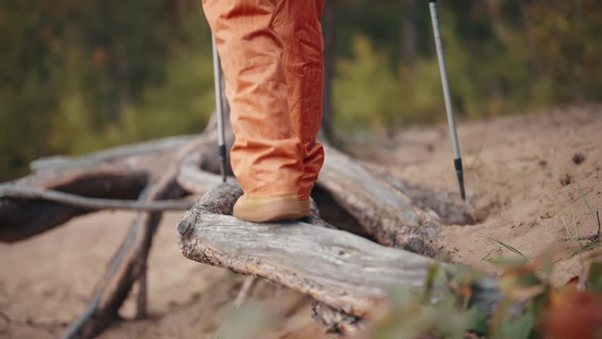 The tourist's feet walk on dry wood. Covering the distance while hiking. Active trekking freedom of travel. Hiking in the forest. Legs distance walking. Sports walk in open air. Victory concept. Royalty-Free Stock Footage #1110759397
