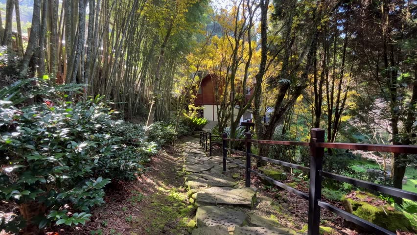 The quiet path separates the bamboo forest and the forest. Beautiful light and shadow are reflected on the ground, the green leaves are swaying in the wind, and at the end are golden woods and houses.