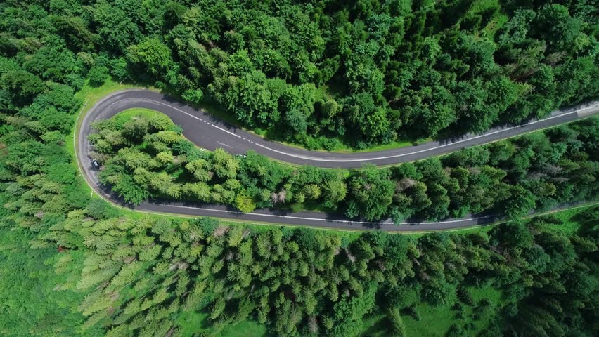 Twisted mountain road through the forest and driving car, aerial cinematic view. Mountains in summer and curved road through forest. Epic drone footage of highway in the wild mountain scenery.  | Shutterstock HD Video #1110765897