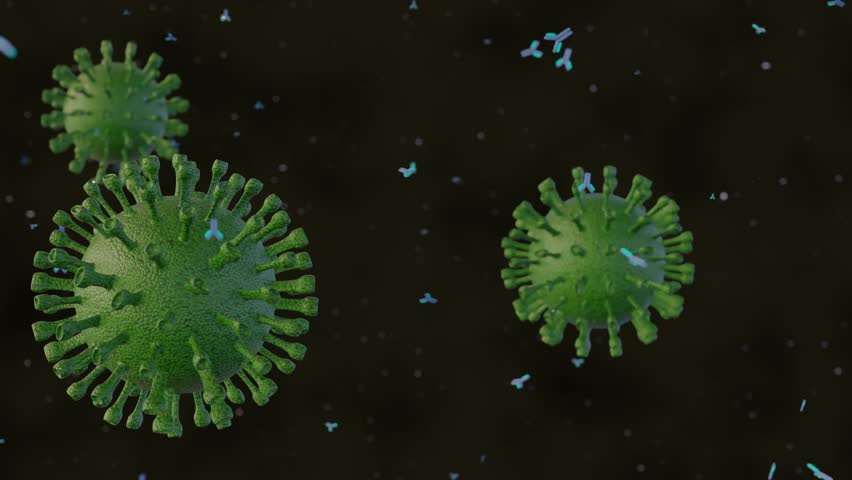 Antibodies act against viruses primarily by binding to and neutralizing virions and by directing the lysis of infected cells by complement or killer leukocytes 3d rendering  Royalty-Free Stock Footage #1110768225