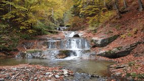 Colorful scenic autumn forest with waterfalls on a clear small river.	 - Powered by Shutterstock - Get 15% off with code: PIKWIZARD15