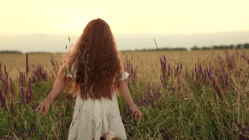 Cute little girl walks touching high grass along field at sunset light backside view. Adorable little girl walks among wild plants in rural field on holiday. Little girl rests walking along field Royalty-Free Stock Footage #1110783769