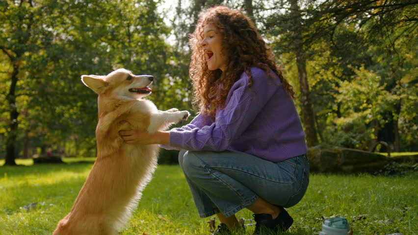 Happy joyful Caucasian woman playing with smart little dog pembroke welsh corgi in pets friendly park summer city young girl hugging cute golden fluffy puppy pet and owner love human animal friendship Royalty-Free Stock Footage #1110784745