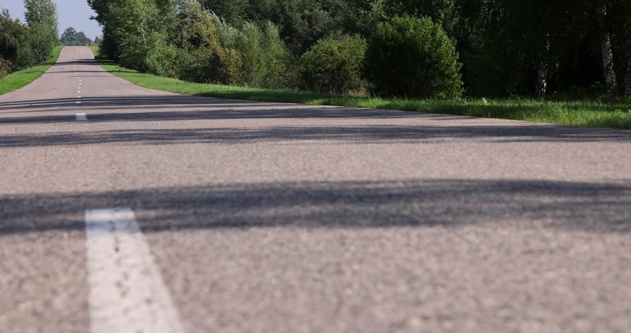 paved old road in the forest in summer, narrow rural road in the forest with deciduous trees
