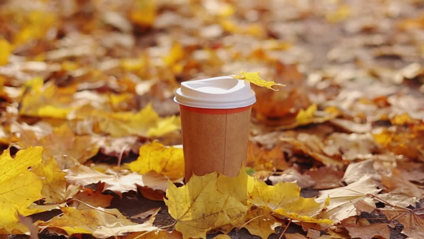 Eco zero waste paper cup take away with hot drink, coffee or tea outdoors in the sunny autumn park. Falling colorful leaves on background. Concept of seasonal warm drinks to go in cold weather Royalty-Free Stock Footage #1110785193