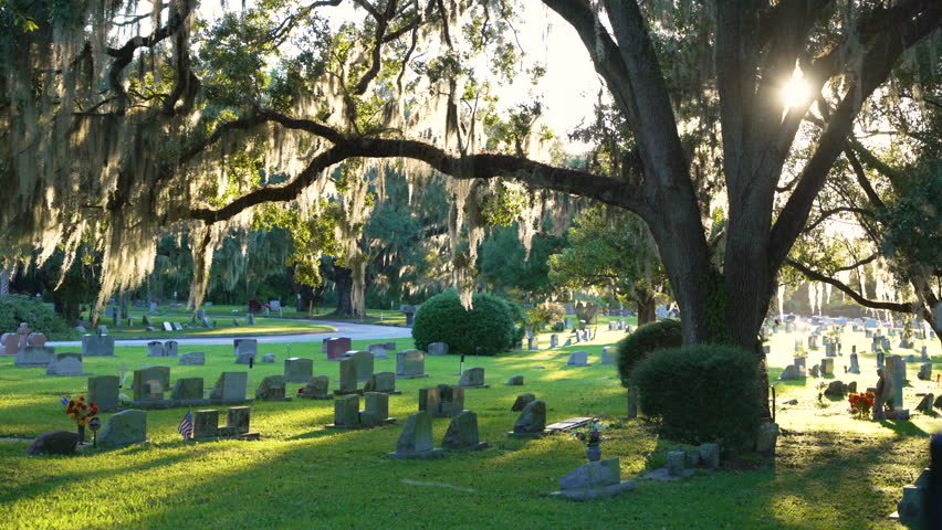 Old cemetery with grave stones under oak trees on green grass lawn in Orlando, Florida. Concept of death Royalty-Free Stock Footage #1110786003