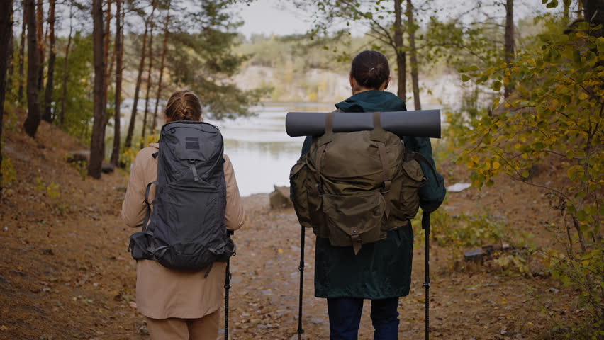 Back view of man and woman with trekking poles and camping bags moving towards water by path in small wood. Satisfied spouses finding nice natural scenery during their trip in fall weather.