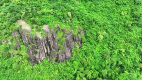 A drone flying gracefully above rugged cliffs, embraced by the lush embrace of a tropical rainforest. Nature's harmony unfolds beneath. Thailand.
