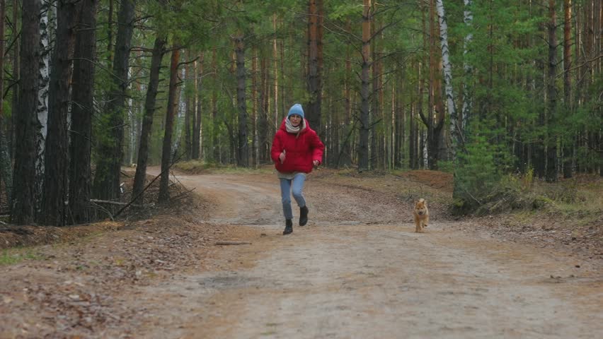 A young girl in red jacket and blue hat is playing tag with her Shiba Inu dog in forest in autumn. The puppy runs away from his mistress along path, and owner catches up with him. Without leash. Royalty-Free Stock Footage #1110804463