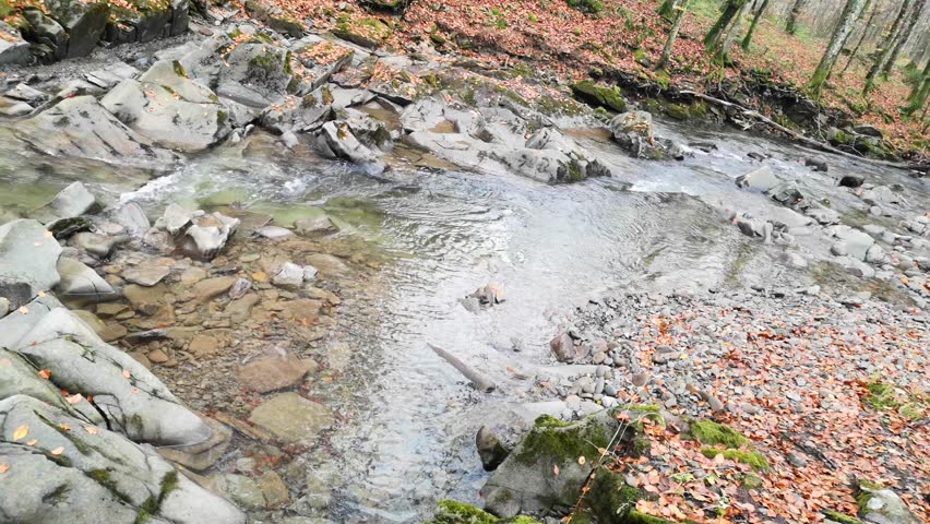 Mountain stream in the autumn forest of the Carpathians