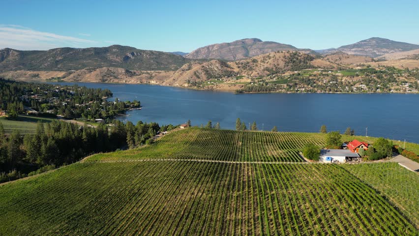 Drone aerial view  of Canadian landscape of an organic winery vineyard and Skaha Lake located in the Okanagan Valley in Penticton, British Columbia, Canada.