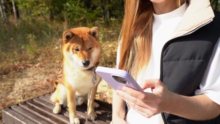 a girl with a smartphone and a dog shiba inu in the park