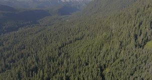 Drone video flying over Gifford Pinchot National Forest with view of Mount Rainier, Washington.