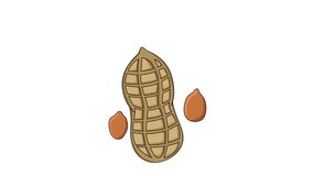 animated video of the peanut icon.4k video quality
