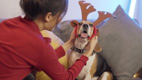 Young beautiful woman enjoying in christmas party with her dog at home. Party, Christmas, Celebration, Enjoyment, Friendship and Lifestyle concept. - Powered by Shutterstock - Get 15% off with code: PIKWIZARD15