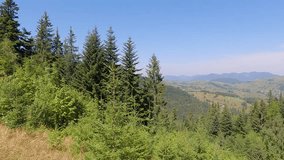 Sunny summer view of Carpathian mountains, Ukraine, Europe. Exciting morning scene of Zamagora hills. Beauty of nature concept background. 4K video (Ultra High Definition).