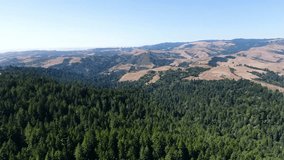 Aerial video of a breathtaking green forest on the hills of Santa Cruz Mountains in California.