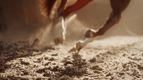 Horsewoman trains playful chestnut horse on leash on indoor sports arena. Skilled trainer rides young fast racehorse for competition at stadium - Powered by Shutterstock - Get 15% off with code: PIKWIZARD15