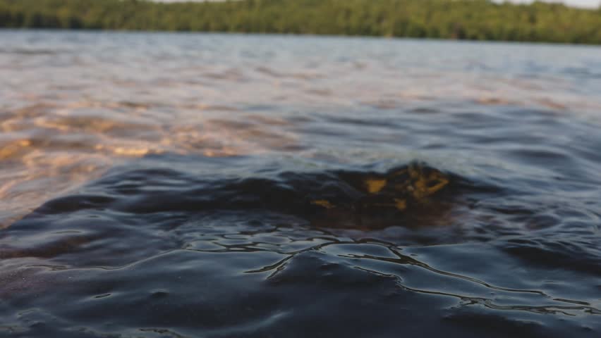 Northern lakeshore in Ontario, Canada.