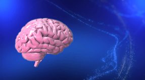 Brain Concept. Artificial Intelligence, neuronets. Futuristic Ai brain concept, future technology, Human brain model. Nano technology innovation. Futuristic tech development. Education.