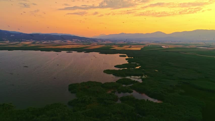 Flock of birds is flying over the lake. Beautiful landscape of lake on sunset and flying birds.