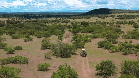 Jeep wild safari tour in south Africa. Wild animals live in east southern Africa and can be found in a variety of habitats such as savannahs shrublands mountainous areas.Spirit of Adventures,Travel. Stockvideó
