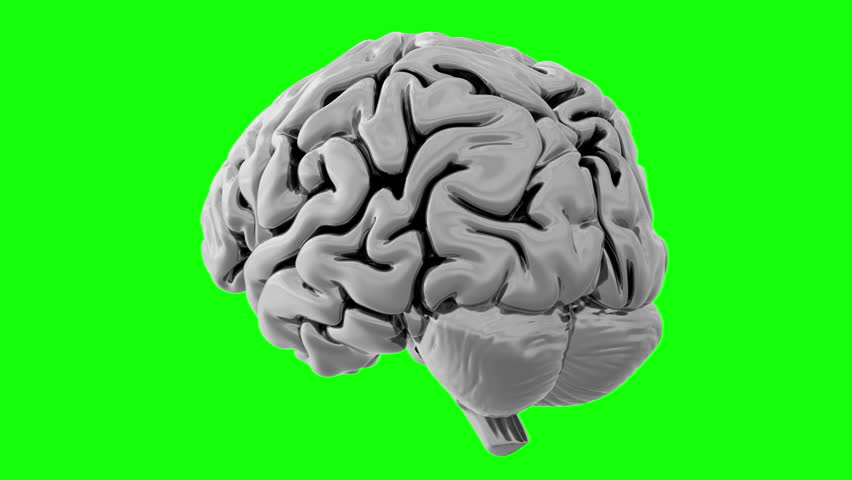 Loopable 3D animation of a spinning human brain made of shiny silver metal to symbolize the concept of artificial intelligence. Isolated on a green screen background. | Shutterstock HD Video #1110882275