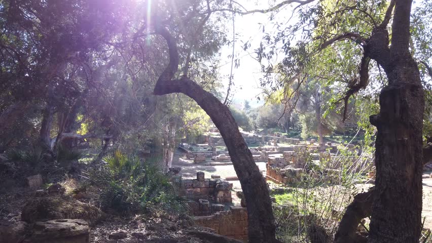 Roman ruins in Tipaza - Algeria