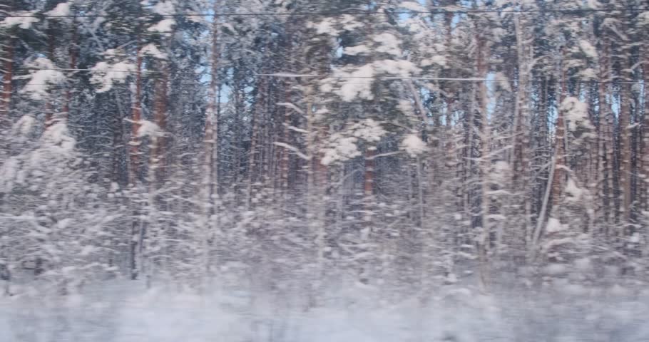 Snow and ice dominate the view from the train, with frozen woods stretching into the distance.
