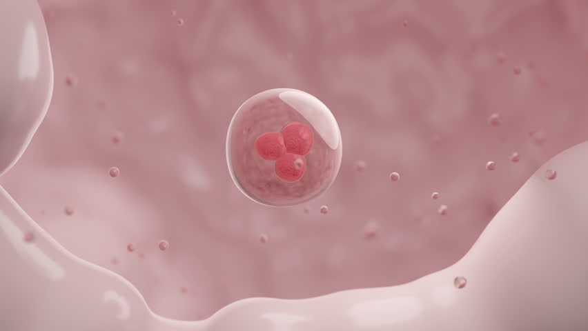 Closeup stem cell or molecules of skin cell for Medical, skincare and cosmetic product. 3D rendering. | Shutterstock HD Video #1110901173