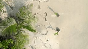 Vertical video. Aerial view of the 2024 word written on the white sand on a tropical beach surrounded with young coconut palms background.
